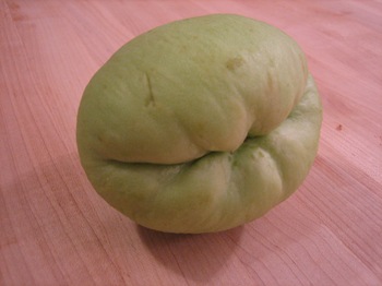 chayote squash