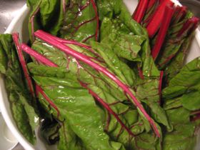 red-swiss-chard