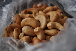 cashews 2